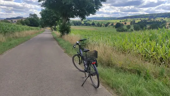 Geführte Radtour ab Uslar. (Foto: Touristik-Information Uslar/C. Filpe)