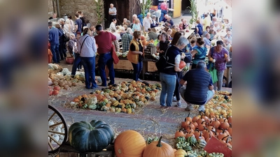 Beim Kürbismarkt auf der Burg ist der Name Programm. (Foto: privat)