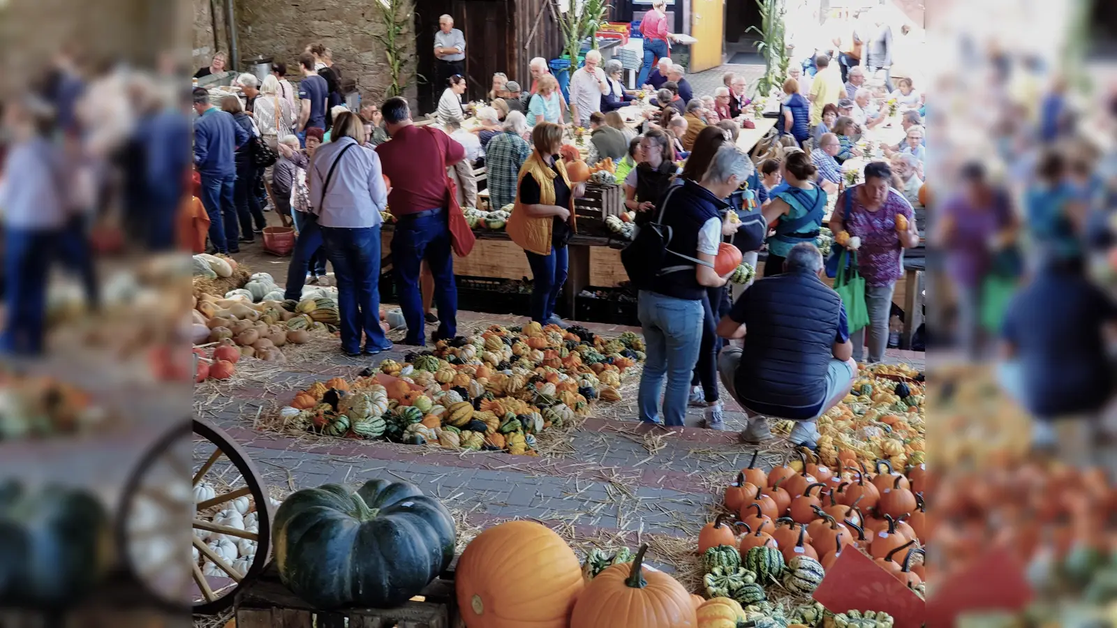 Beim Kürbismarkt auf der Burg ist der Name Programm. (Foto: privat)