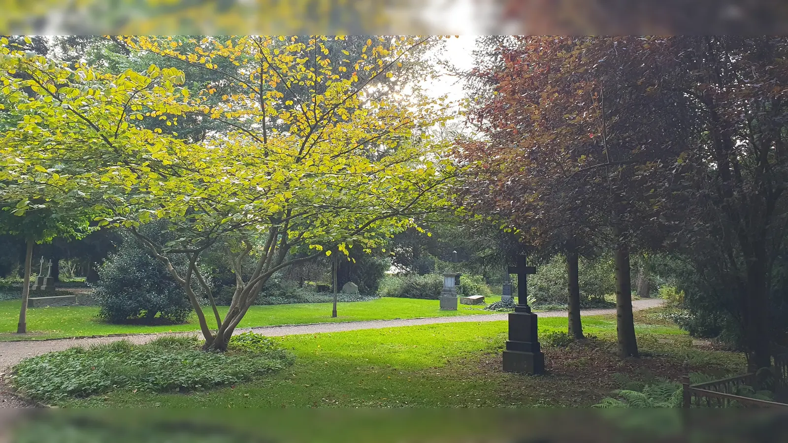 Für Begegnungen auf dem Friedhof steht Mechthild Bange, Gemeindereferentin im Pastoralen Raum, zur Verfügung. (Foto: privat)