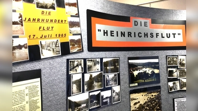 Fotos zeigen die Katastrophe. (Foto:  Detlef Schiewek)