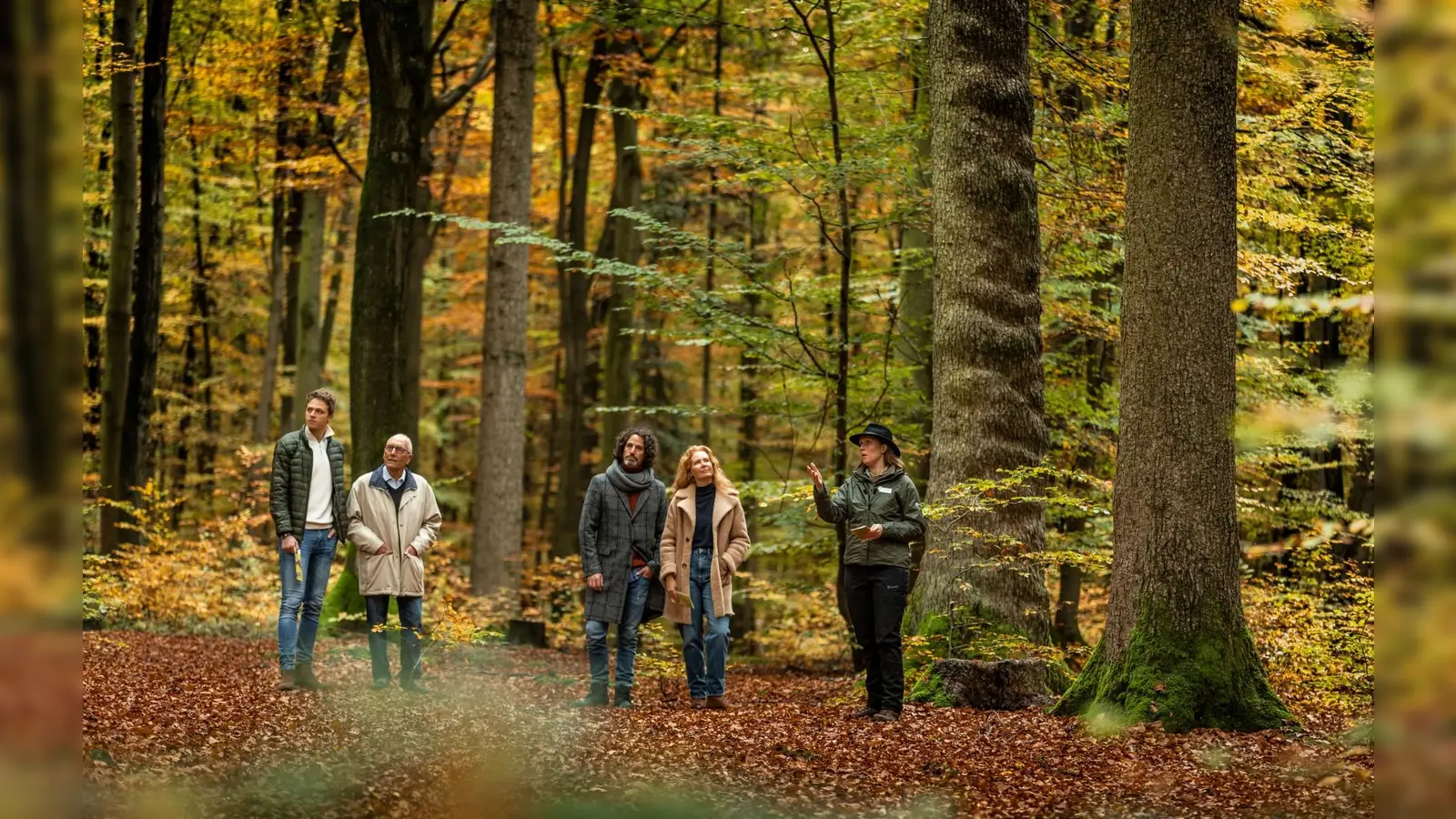 Waldführung durch den FriedWald. (Foto: FriedWald GmbH)