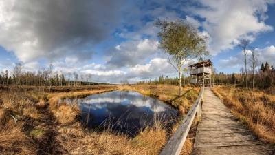 Hochmoor Mecklenbruch. (Foto: Touristik-Information Neuhaus und Silberborn)