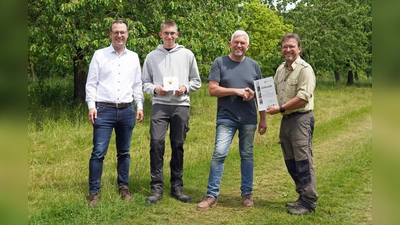 Auszeichnung für besonderes Engagement (v.l.): Alexander Kleinschmidt (Allgemeiner Vertreter des Bürgermeisters), Söhnke Hein und Stephan Ahrens, nahmen die Auszeichnung für Peter Trapet vom NABU-Vorsitzenden Harald Gläser entgegen. (Foto: Stadt Brakel)