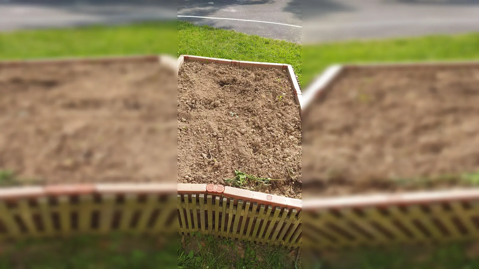 Die von den Kindern liebevoll gehegten Pflanzen wurden aus dem Hochbeet gerissen. (Foto: Foto: privat)