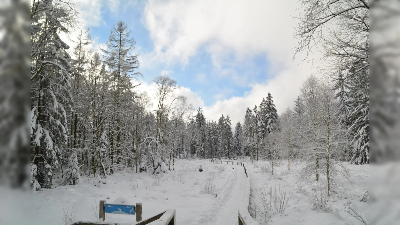 Das neue Jahr mit einer Wanderung beginnen. (Foto: Tore Straubhaar)