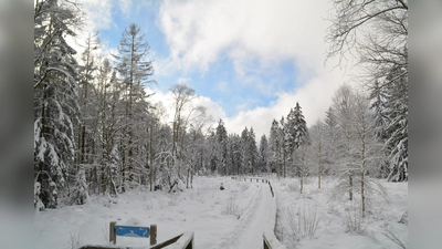 Das neue Jahr mit einer Wanderung beginnen. (Foto: Tore Straubhaar)