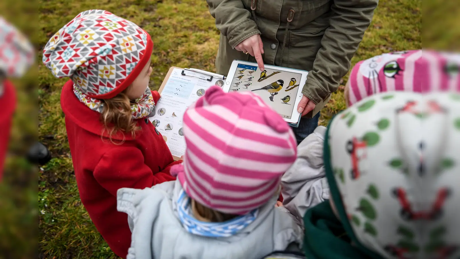Kinder bestimmen bei der Vogelzählung „Stunde der Wintervögel” des Nabu (Naturschutzbund Deutschland) mit Hilfe der App „Nabu Vogelwelt” die Arten. Bei der Mitmachaktion sollen eine Stunde lang alle Vögel, die sich zum Beispiel an einem Futterhäuschen oder in einem Park aufhalten, in Zahl und Art erfasst werden. (Foto: Britta Pedersen)