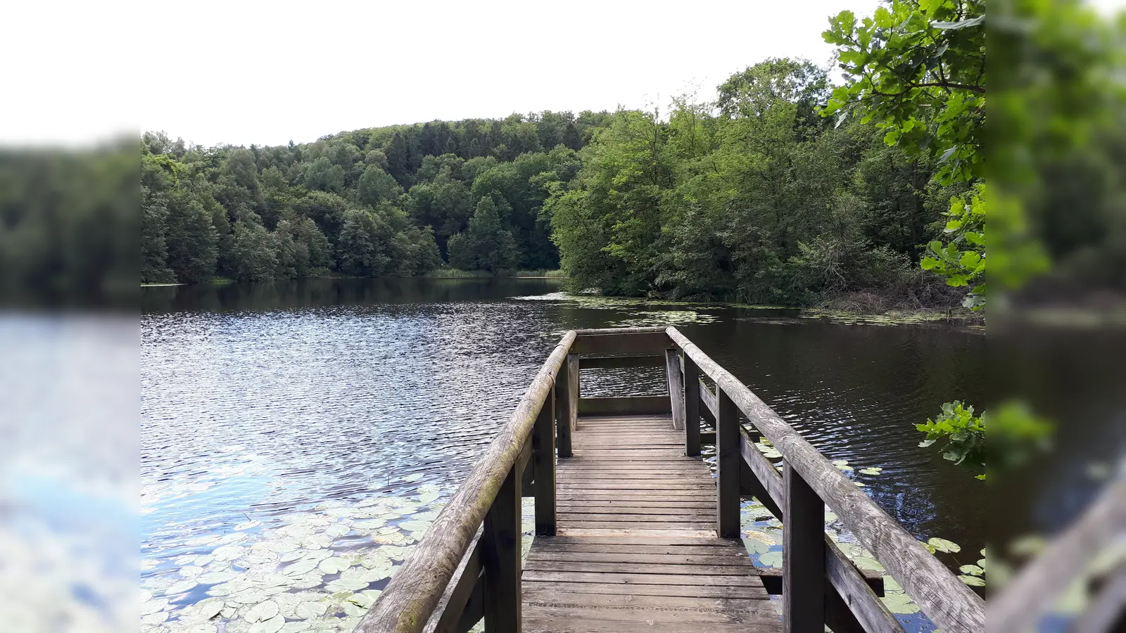 Bergsee Delliehausen. (Foto: Touristik-Information Uslar)