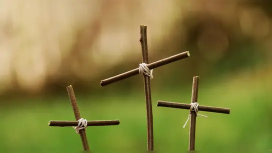 Symbolbild (Foto: pixabay)