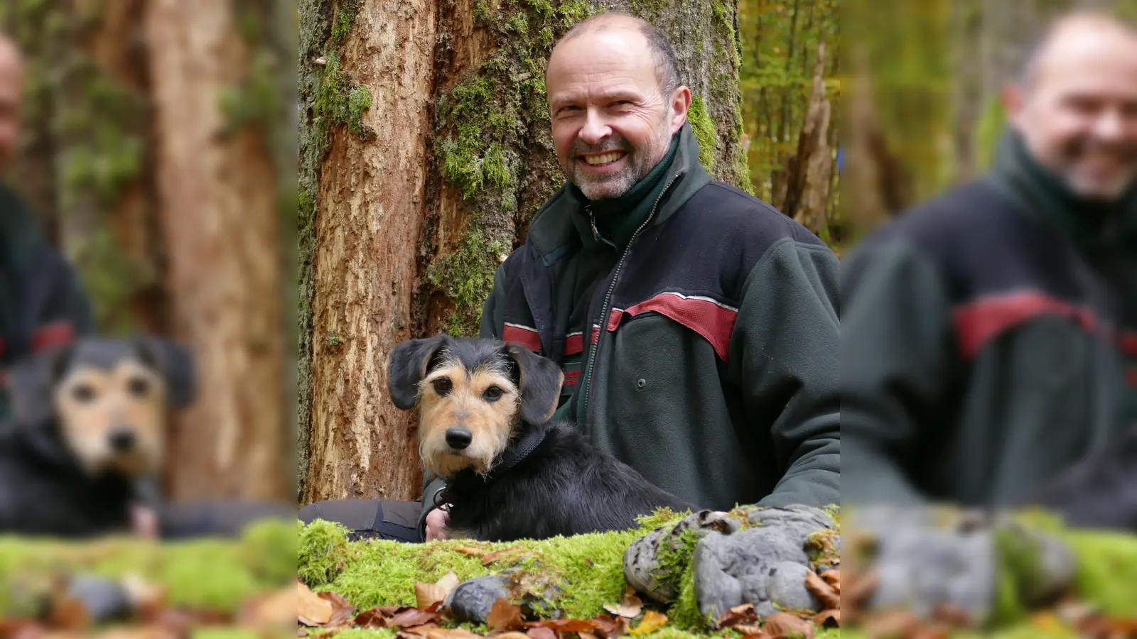 Dr. Johannes Wobst (mit Jagdhündin Lotta) verantwortet als neuer Leiter das Forstamt Dassel und sorgt für natürliche Waldentwicklung in einem der größten Naturwälder Niedersachsens. (Foto: Foto: © NLF)