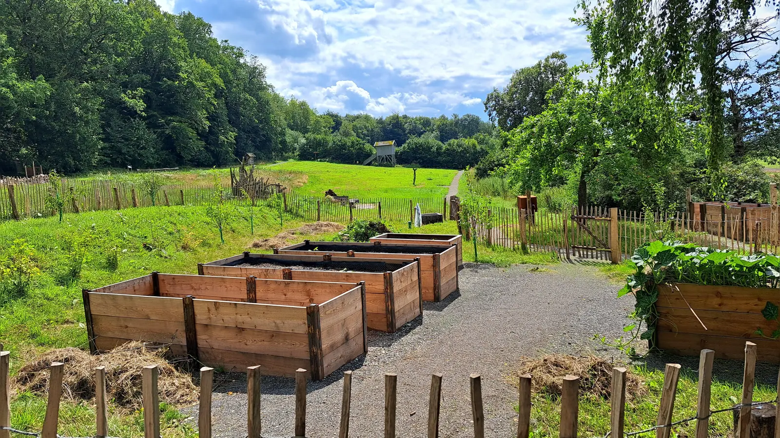 Die Hochbeete im Garten des Bildungshauses Modexen sollen gemeinsam mit Saatgut bestückt werden. Auch zwei Hochbeete, die für Rollstuhlfahrende geeignet sind, zählen dazu. (Foto: Christiane Sasse)