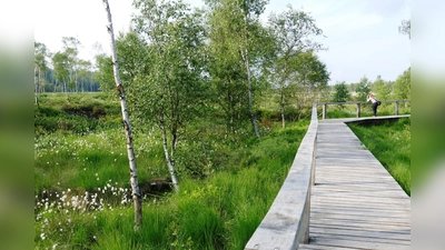 Das Hochmoor Mecklenbruch. (Foto: privat)