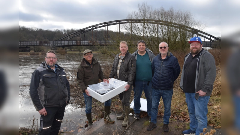 Setzen die Aale in ihrer neuen Heimat aus (v.l.): Florian Siewers (Vorsitzender Fischereiverein Albaxen), Frank Rexforth (Leitung Fischereiverein Höxter), Rainer Wohlfahrt (Vorsitzender der Weser-Fischerei-Wirtschaftsgenossenschaft), Wilhelm Gieffers (Fischereiverein Beverungen), Michael Wehrmann (Geschäftsführer ASV Wehrden) und „Taxifahrer” Sascha Tengen. (Foto: Marc Otto)