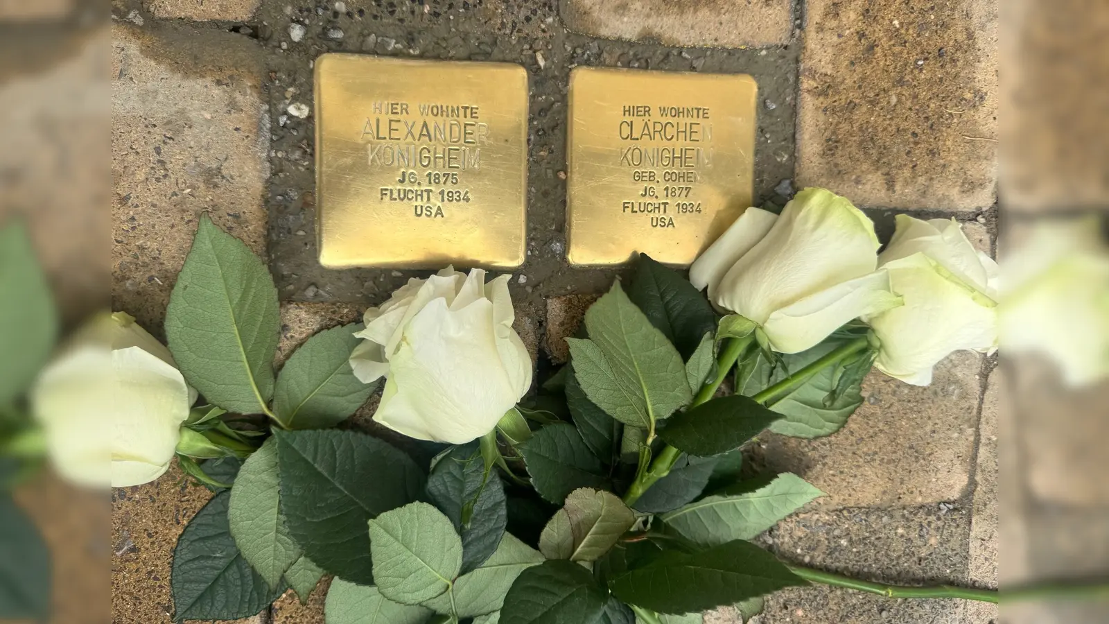 Weiße Rosen als Zeichen gegen das Vergessen, niedergelegt von Schülerinnen und Schülern der Sekundarschule an den frisch verlegten Stolpersteinen. (Foto: Stefan Bönning)