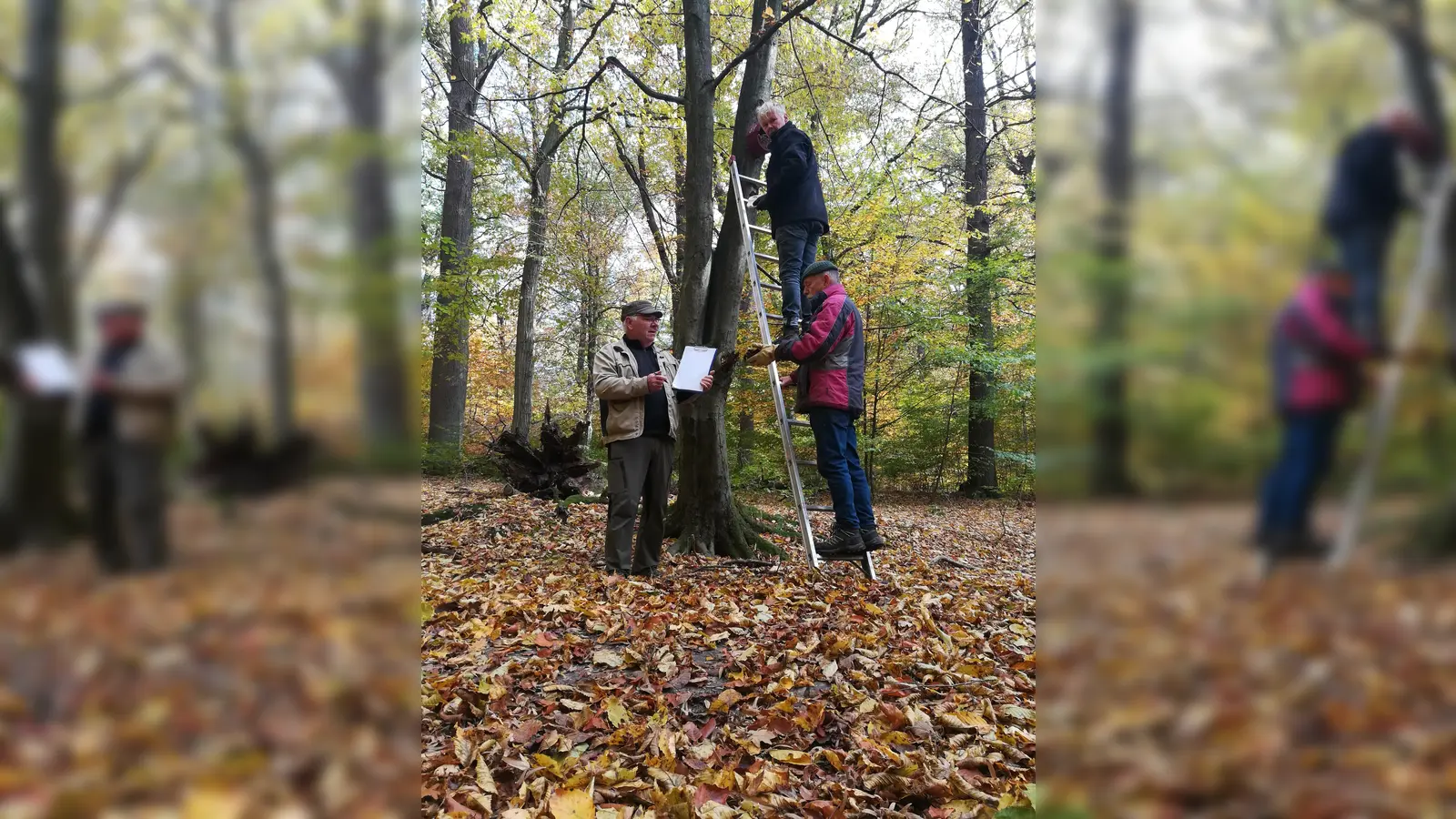 (v.l.) Walter Kouril, Naturparkführer, Bernd Geipl und Peter Eiffert auf der Leiter. (Foto: privat)