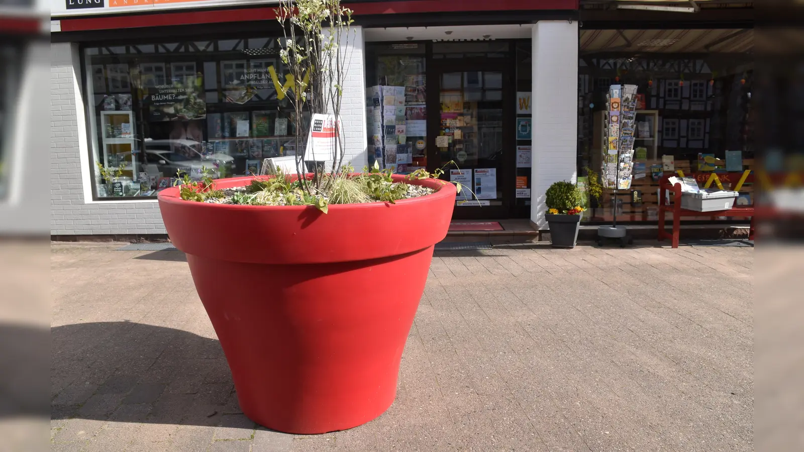 Acht diese Pflanzkübel in verschiedenen Farben wurden in der Beverunger Innenstadt aufgestellt.  (Foto: Barbara Siebrecht)