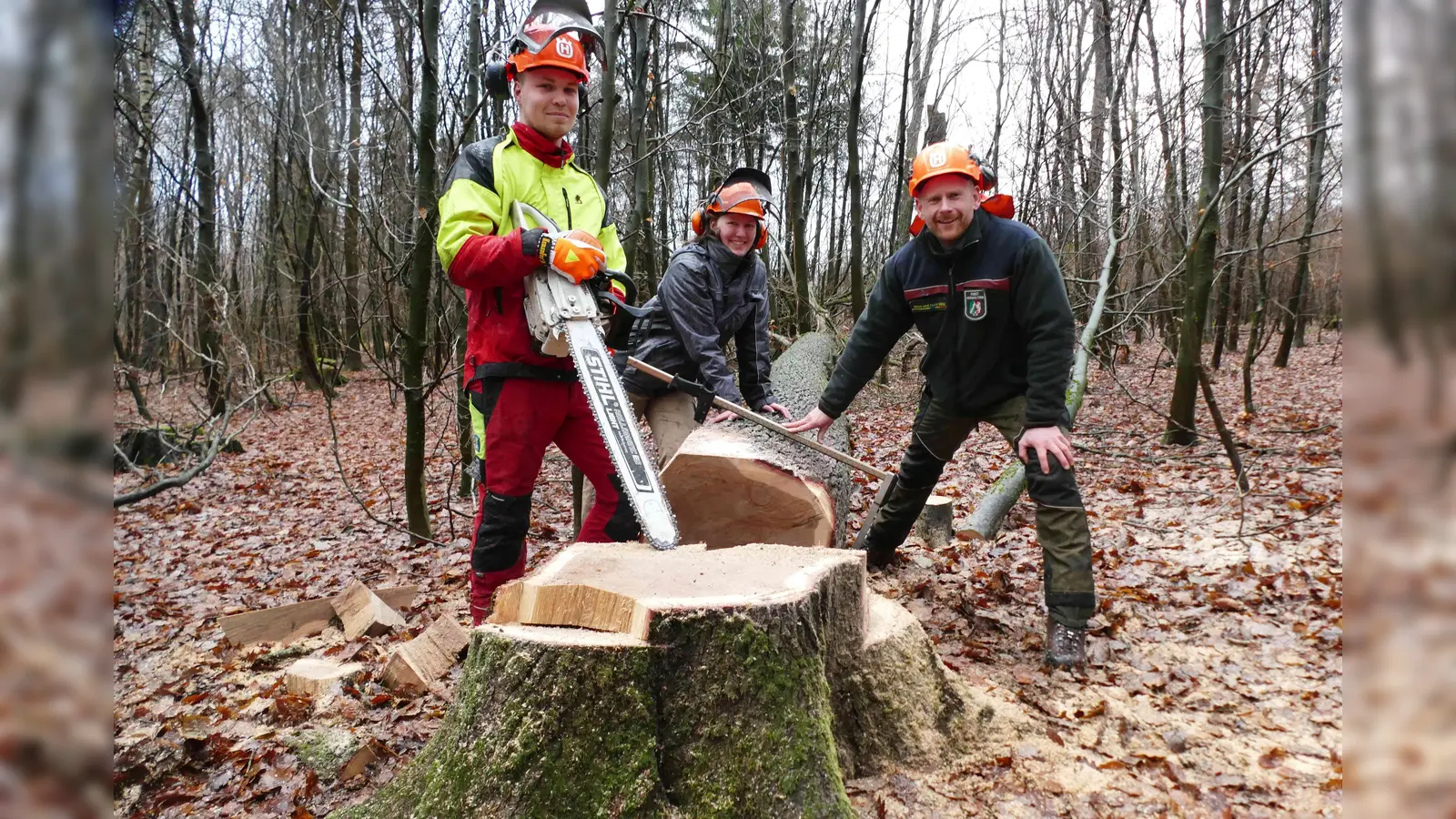 Der erste Schritt „vom Baum zum Holz” ist getan, der Baum liegt wo er soll. Das Holz sieht auch an der Schnittfläche gut aus, ohne Fäule oder Fehlstellen. Darüber freuen sich Lucas Schnitger, Bianca Rembart und Revierleiter Florian Bitter. (Foto: Befeld - Wald und Holz NRW)