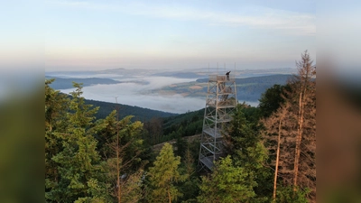 Mit seiner einzigartigen Stahl-Skelett-Bauweise und spektakulären Ausblicken repräsentiert der Bodoturm die Vielfalt und Attraktivität des Weserberglands. (Foto: SVR/_M.Sprödefeld)