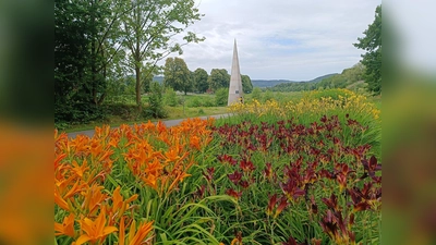Das Tagliliental unterhalb der Weserscholle ist ein ideales Ziel für einen Spaziergang oder eine Radtour am Fluss. (Foto: Huxarium Gartenpark Höxter)