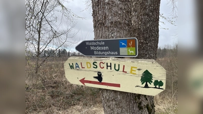 Dort gehts lang zur Waldschule. (Foto: Marija Bakker)