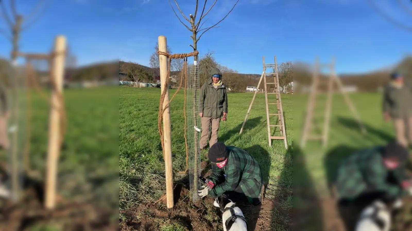 Obstbaumwartin Denise Mogge demonstriert die Pflanzung mit Pfahlanbindung und Verbissschutz. (Foto: Margret Golüke-Knuhr)