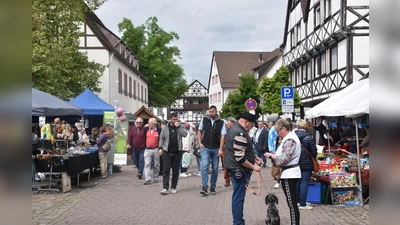 Weserstraße und Lange Straße sind zum Blütenfest autofrei.  (Foto: Barbara Siebrecht)