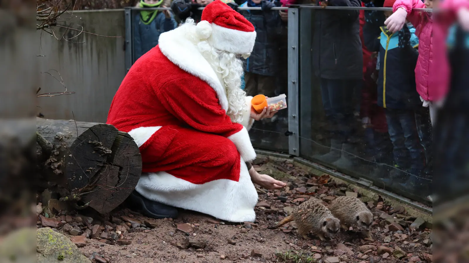 Tierweihnacht mit den Sababurger Tieren. (Foto: D. Seibert)