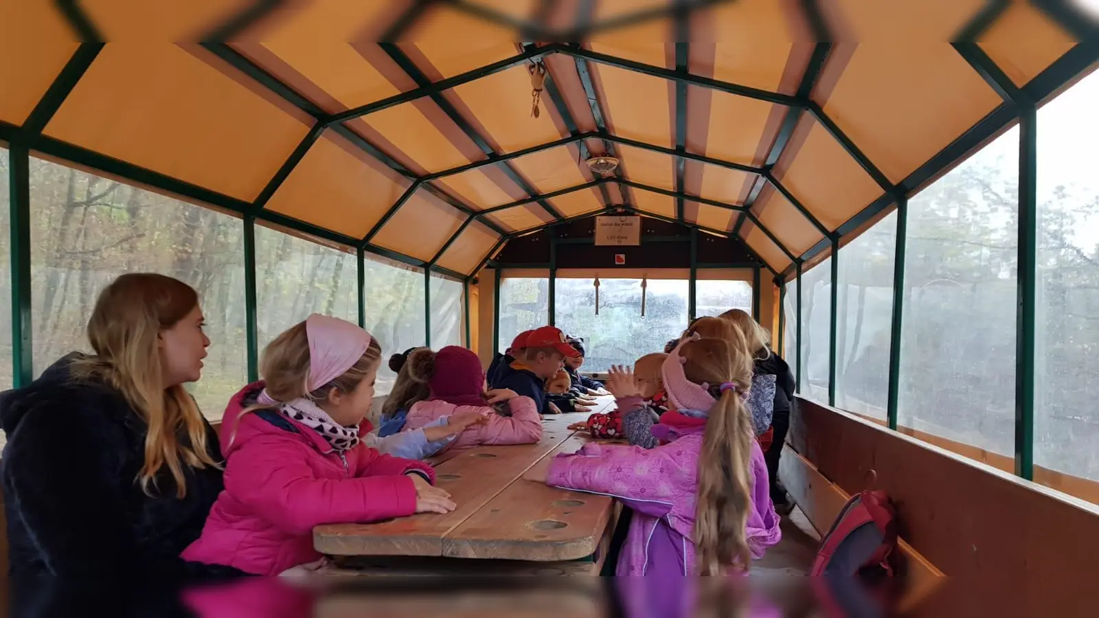 Kindergarten aktiv gegen Klimawandel (Foto: Waldinteressengemeinschaft)