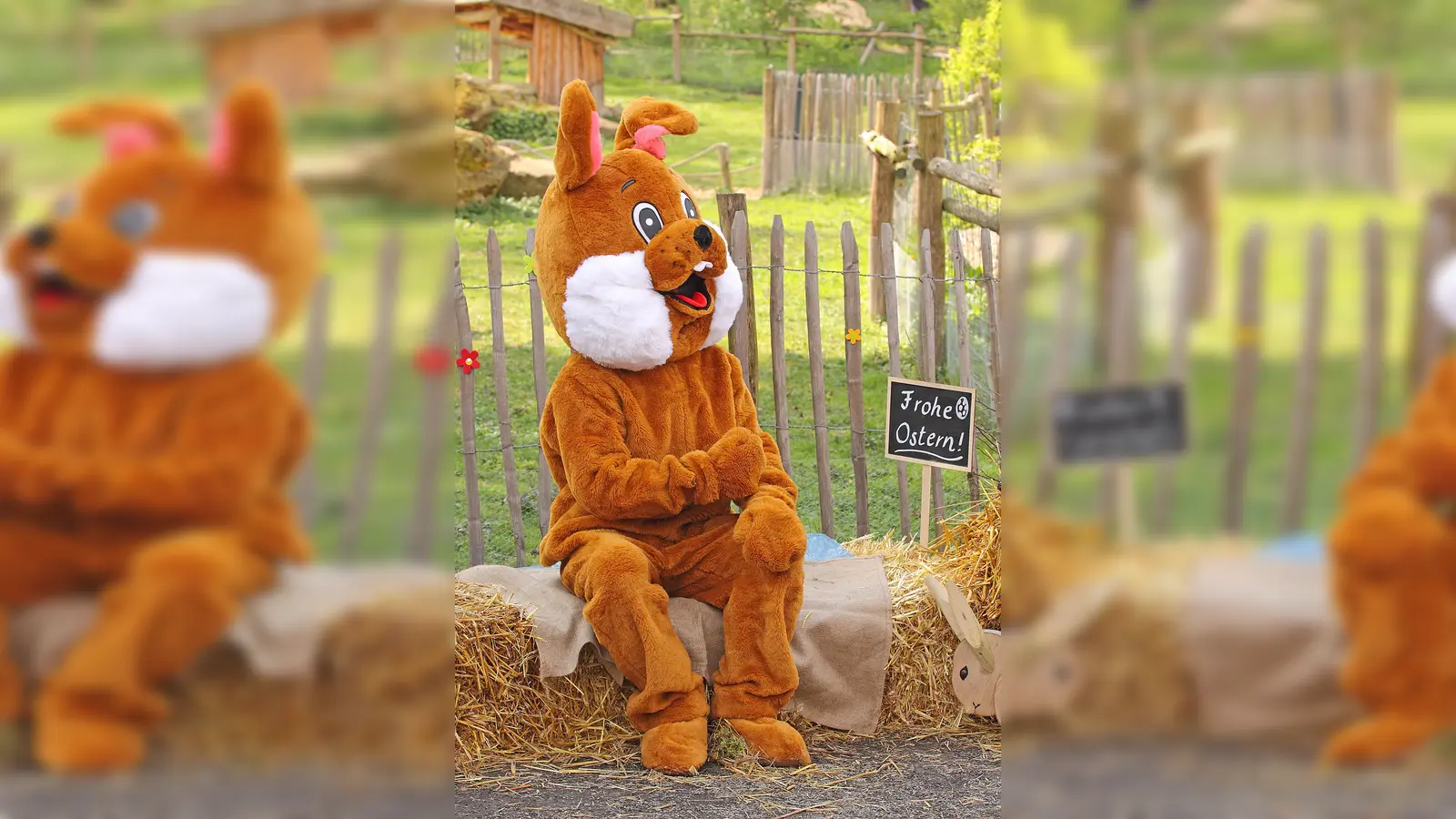 Auch der Osterhase lässt sich einen Besuch des Tierparks nicht entgehen. (Foto: Tierpark Sababurg)