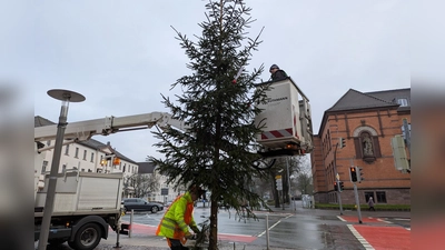 Für jeden Weihnachtsbaum kommt der Tag, da er abgebaut werden muss. (Foto: Stadtmarketing Holzminden GmbH)