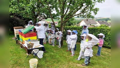 Gut geschützt trauen sich die kleinen Forscher nah an die Bienenvölker. (Foto: Kita Hembsen)