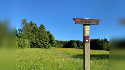 Der LiebesBankWeg ist pünktlich zur Wandersaison herausgeputzt. (Foto: Touristik-Information Neuhaus und Silberborn)
