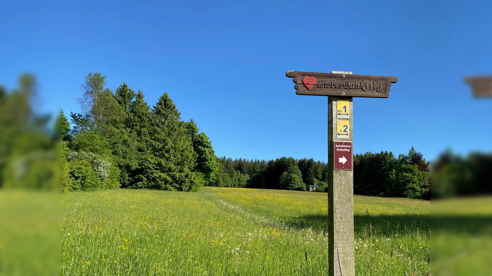 Der LiebesBankWeg ist pünktlich zur Wandersaison herausgeputzt. (Foto: Touristik-Information Neuhaus und Silberborn)