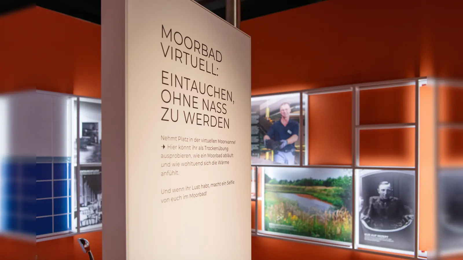 Blick in die Moorerlebniswelt. (Foto: Bad Driburger Touristik GmbH)