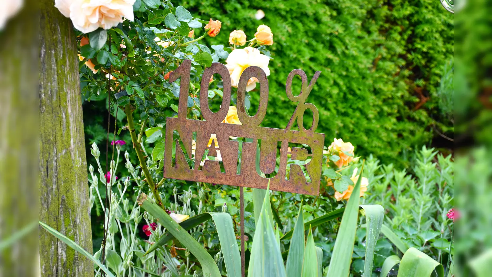 Gärten sind Oase für Mensch und Natur.  (Foto: Barbara Siebrecht)