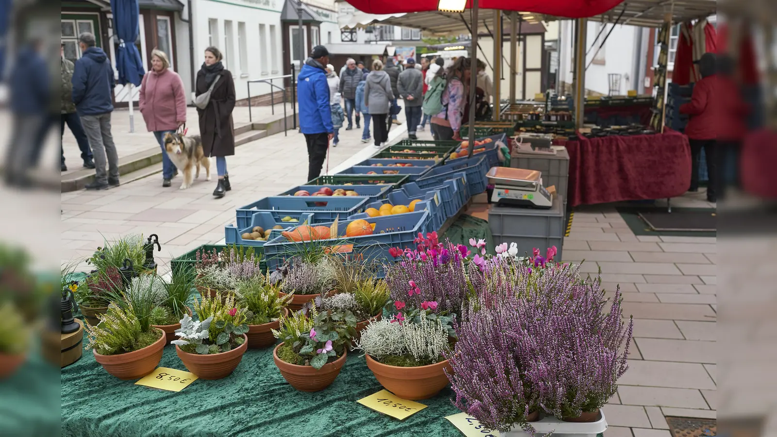 Herbstliche Dekoideen gibt es am Sonntag beim Herbstmarkt in der Dornröschenstadt Hofgeismar zu entdecken. (Foto: Stefan Bönning)