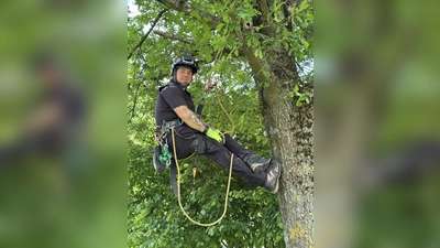 Ganz schnell oben in luftiger Höhe: Tobias Hirschberg (43) macht es sich in seiner Ausrüstung im Astwerk einer jungen Eiche im Nieheimer Kurpark bequem. (Foto: Stadt Nieheim/M. Schäfer)