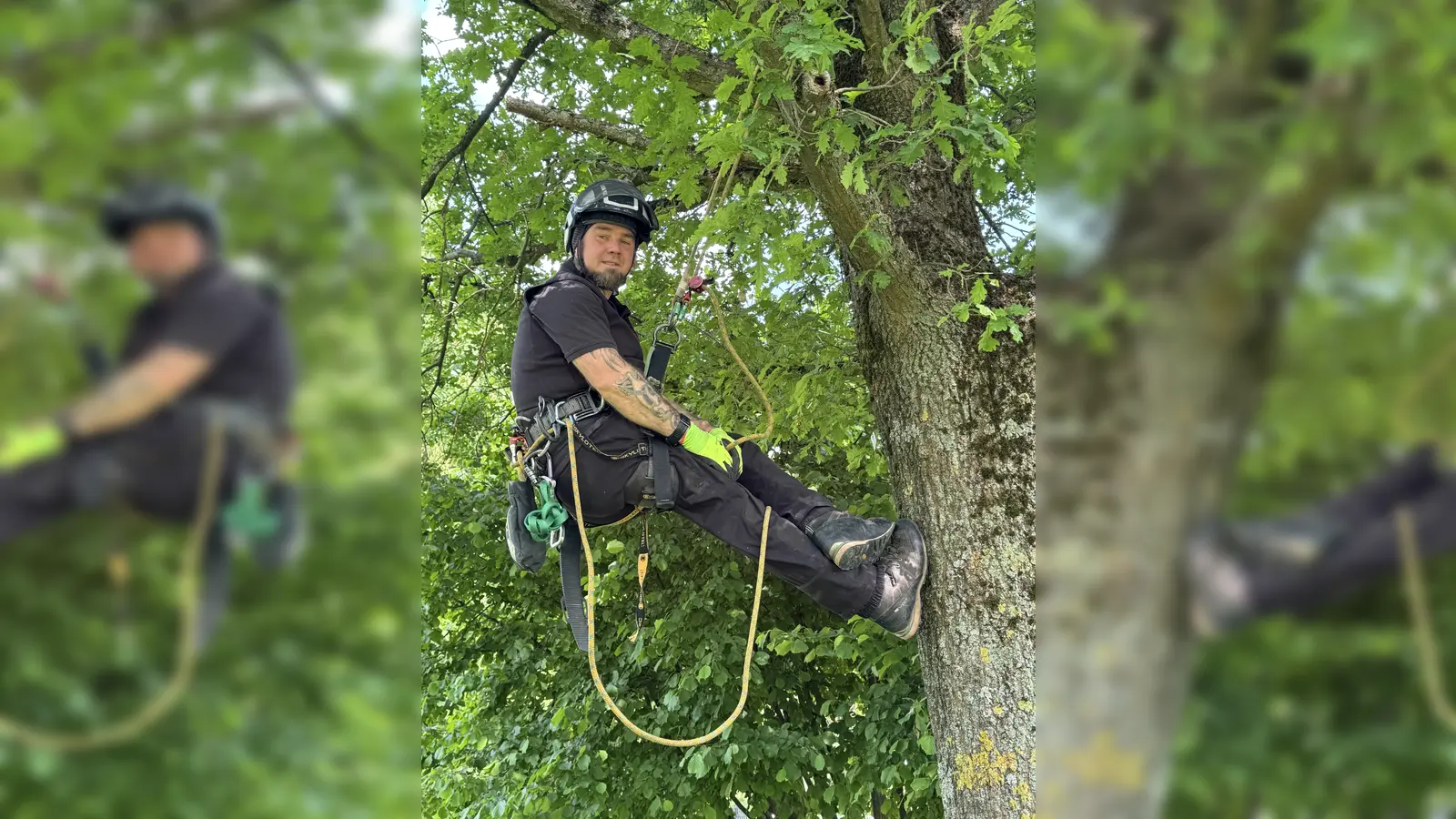 Ganz schnell oben in luftiger Höhe: Tobias Hirschberg (43) macht es sich in seiner Ausrüstung im Astwerk einer jungen Eiche im Nieheimer Kurpark bequem. (Foto: Stadt Nieheim/M. Schäfer)