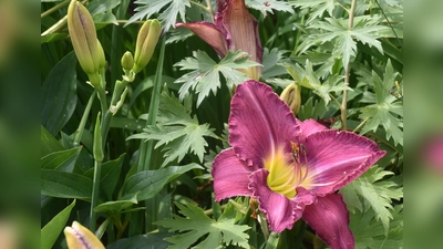 Die Sieger des Gartenwettbewerbs (Foto: Barbara Siebrecht)