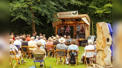 Bonsai-Bühne am Höxteraner Wall: Fünf Musiker aus Frankreich, Schweiz, Niederlande, Belgien und Deutschland verjazzen Volkslieder. (Foto: Ravi Sejk)