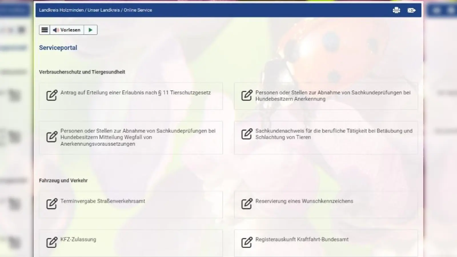 Das Service-Portal des Landkreises ist bereits mit vielen Angeboten online. (Foto: Landkreis Holzminden)