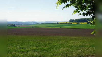 Bereich, in dem ein Teil des geplanten Windparks liegen soll. (Foto: Stadt Brakel)