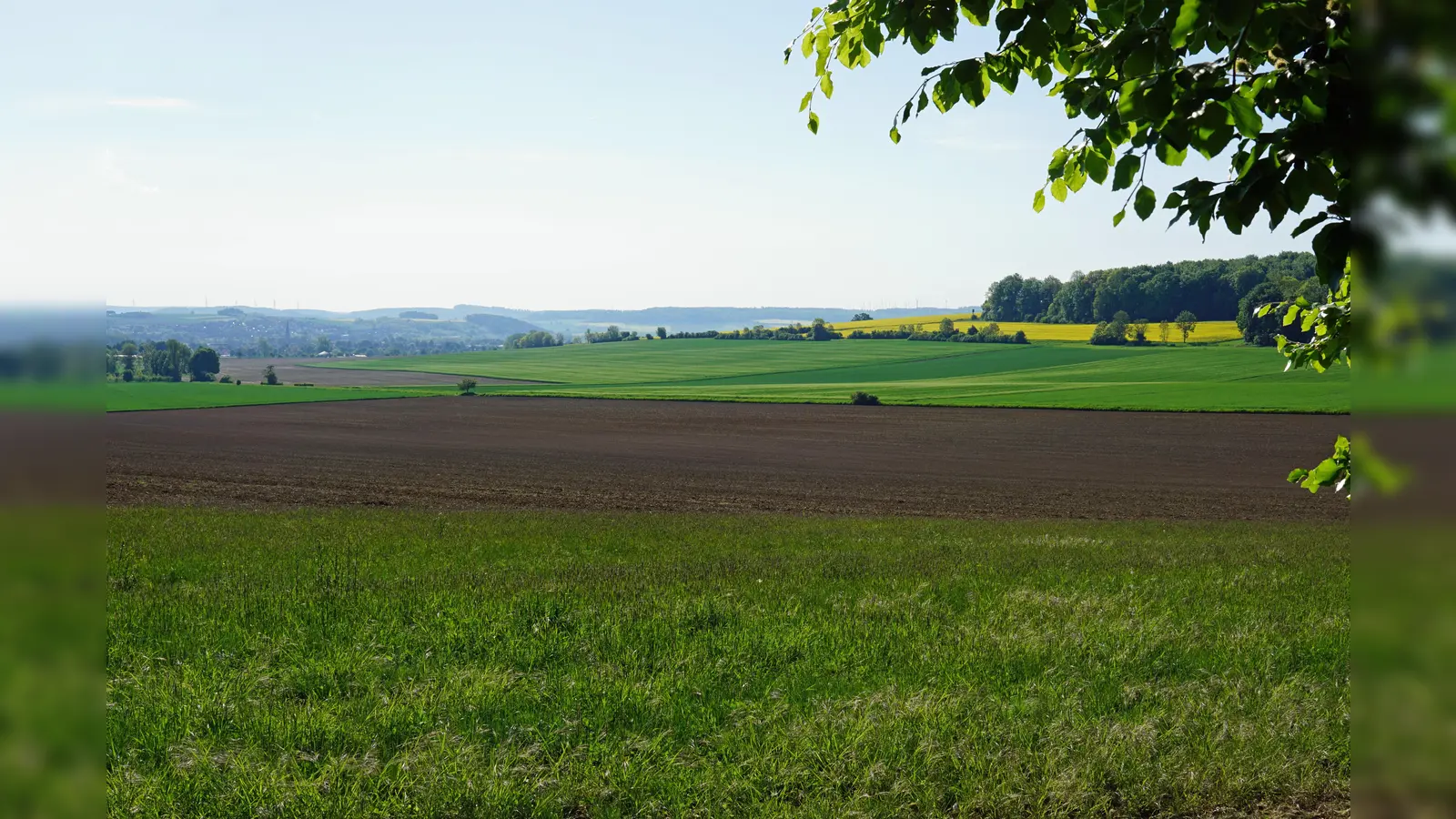 Bereich, in dem ein Teil des geplanten Windparks liegen soll. (Foto: Stadt Brakel)