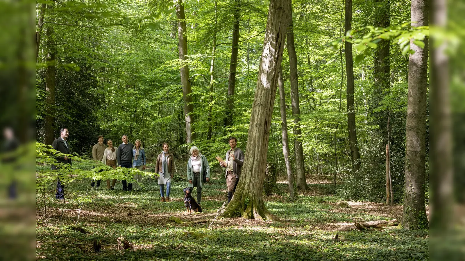 Waldführung im FriedWald Reinhardswald. (Foto: FriedWald)