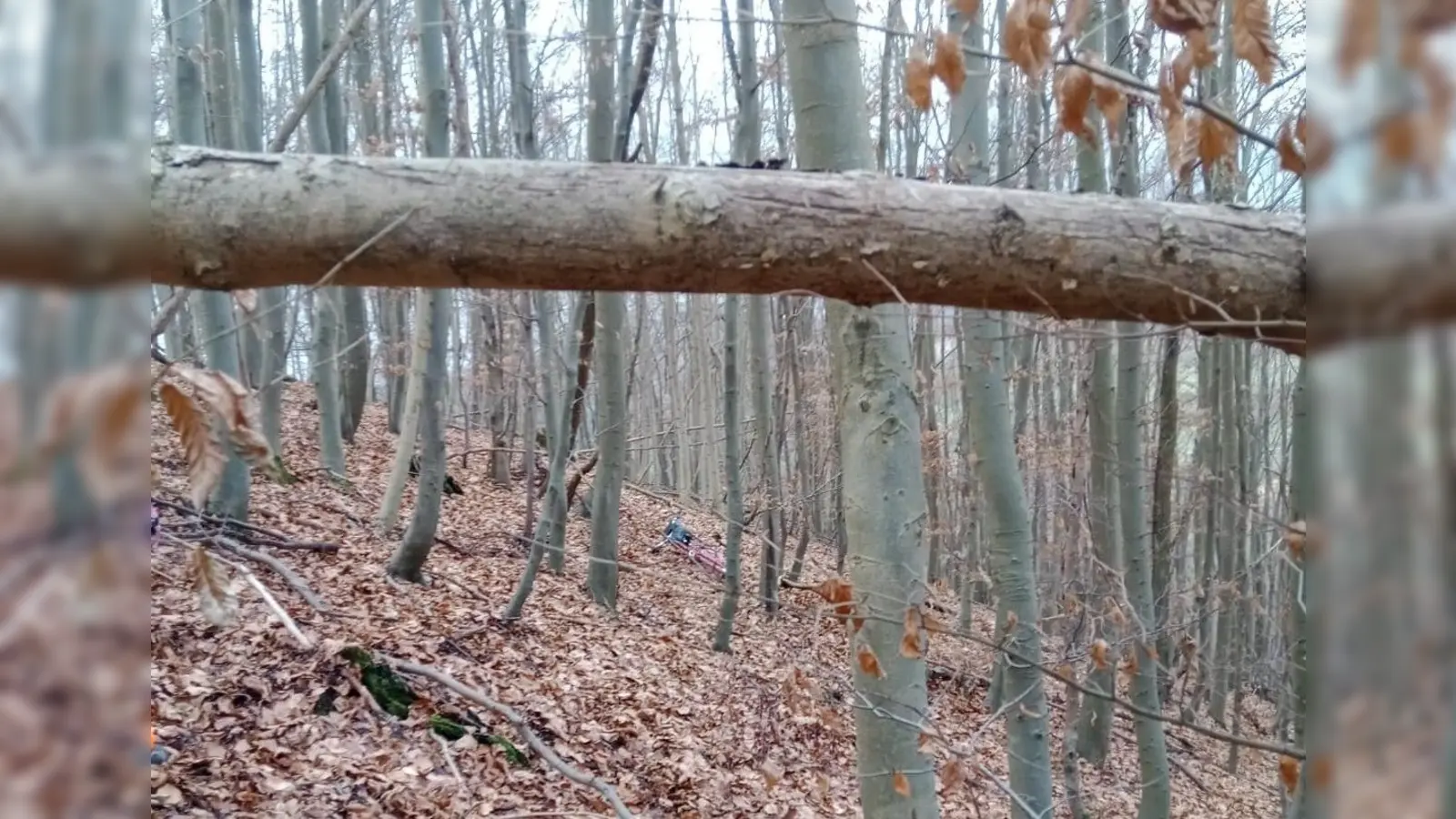 Blick zur Auffindeposition. (Foto: Daniel Vieth, Feuerwehr Beverungen)