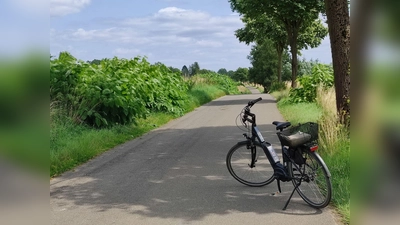 Der Radweg Uslar-Sohlingen. (Foto: Touristik-Information Uslar)