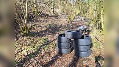 Die illegale Entsorgung von Altreifen in Reelsen wurde zur Anzeige gebracht. (Foto: privat)