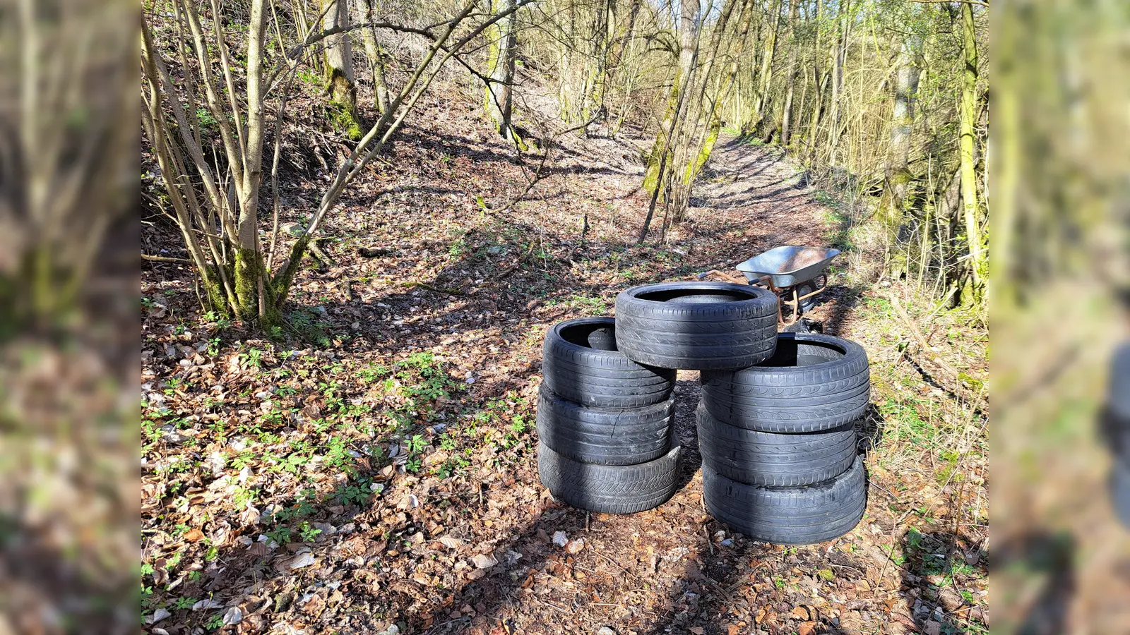 Die illegale Entsorgung von Altreifen in Reelsen wurde zur Anzeige gebracht. (Foto: privat)