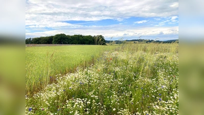 . (Foto: Sven Nadolny, SWK)